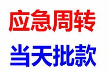 咸宁嘉鱼典当与抵押信息发布指南